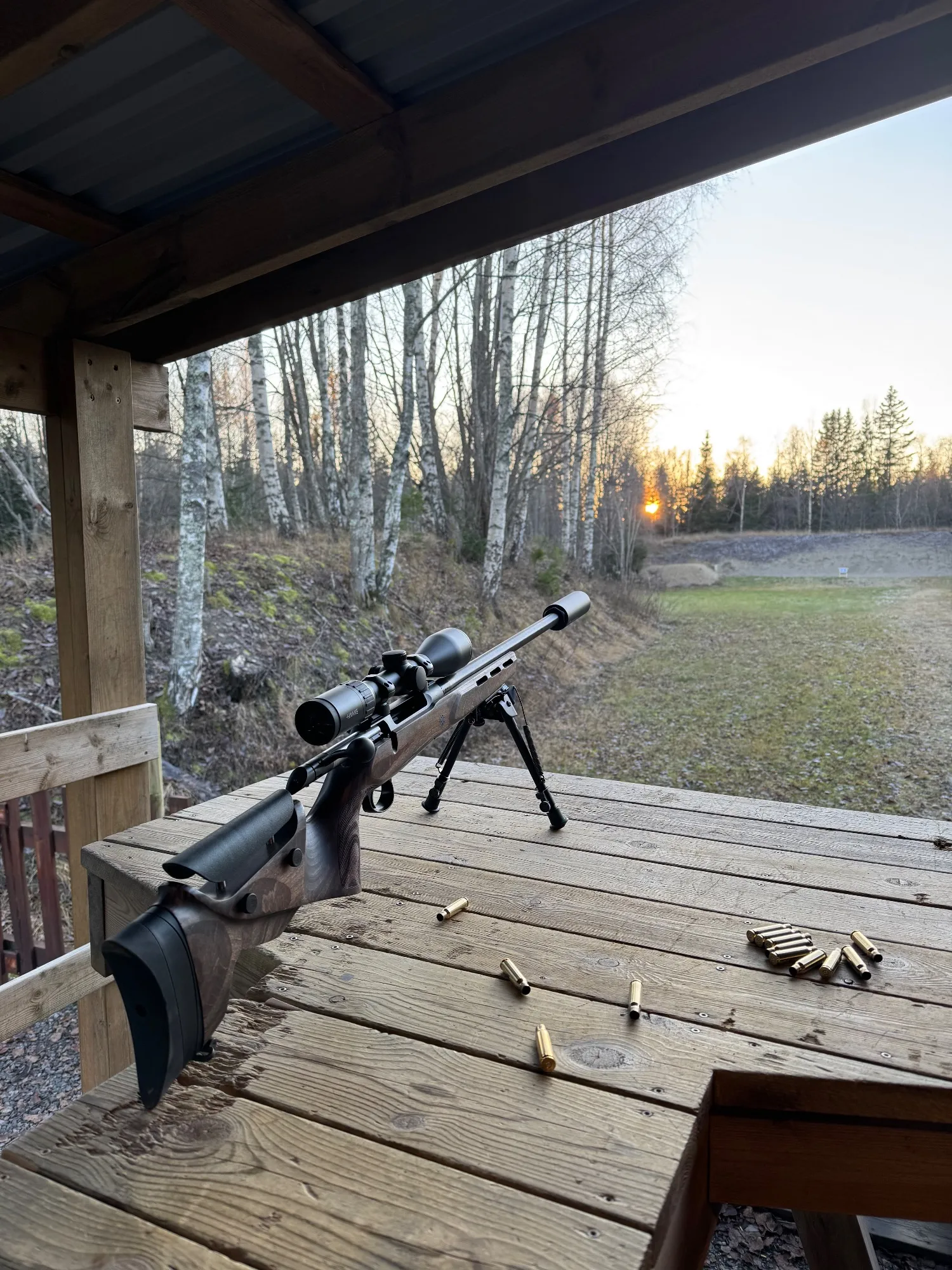 Sauer 100