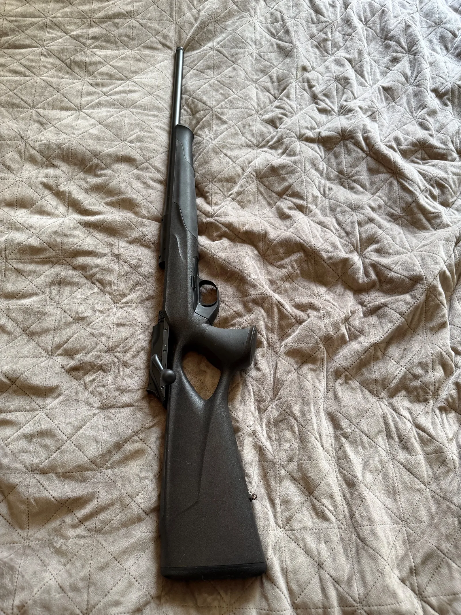 Blaser R8